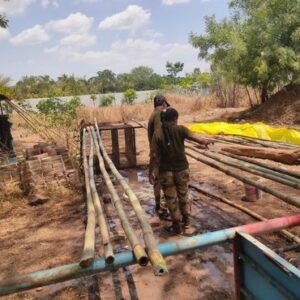 AP Creation 5 Bamboo India