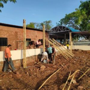 AP Creation 6 Bamboo India