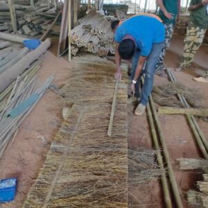 AP Creation 9 Bamboo India