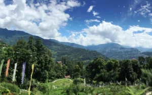 Bamboo Retreat Panoramic View scaled 2e9bf549 Bamboo India