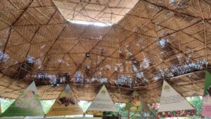 Bamboo geodesic dome inside Bamboo India