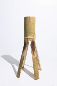 EL8A2025 1 min Bamboo India