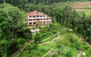 HDR 0001 HDR copy 8 scaled c73757a5 Bamboo India