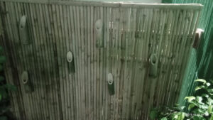 IMG 20191026 WA0140 Bamboo India