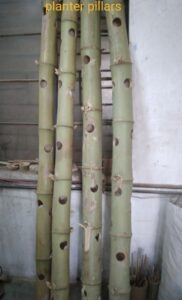 IMG 20220218 WA0001 min Bamboo India