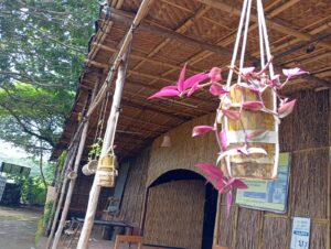 IMG 20240830 WA0013 min Bamboo India