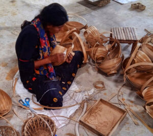 IMG 5142 Bamboo India