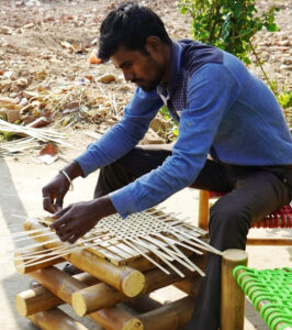 IMG 5180 Bamboo India