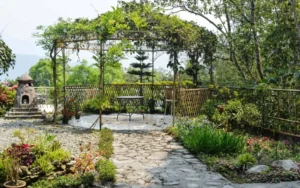 IMG 8200 scaled c47ffbd8 Bamboo India