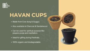 The Bamboo Hut Products 4 Bamboo India