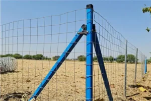 bahu bali copy Bamboo India