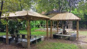 bambuVilla 1 Bamboo India