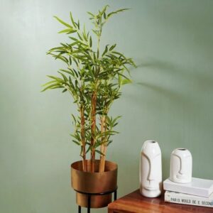 dsc01316 500x500 1 Bamboo India