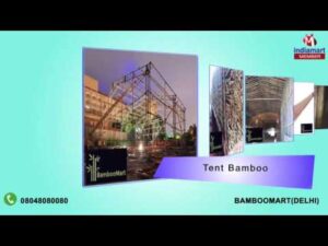 hqdefault Bamboo India