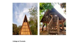 portfolio page 0004 Bamboo India