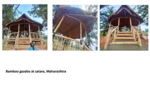 portfolio page 0006 Bamboo India