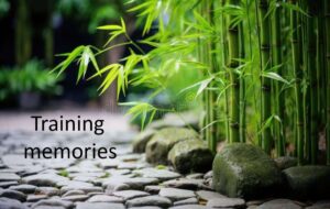 portfolio page 0007 Bamboo India