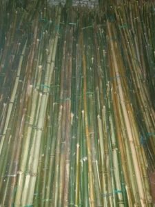 prod 20240811 0840111704798474377782148 jpg 500x500 1 Bamboo India