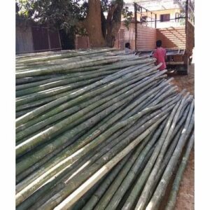 product jpeg 500x500 1 1 Bamboo India