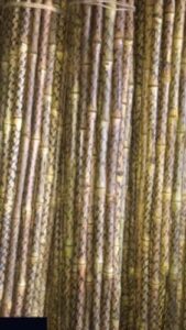 product jpeg 500x500 1 2 Bamboo India