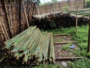 product jpeg 500x500 10 Bamboo India