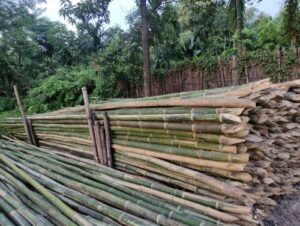 product jpeg 500x500 11 Bamboo India