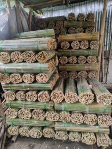 product jpeg 500x500 13 Bamboo India
