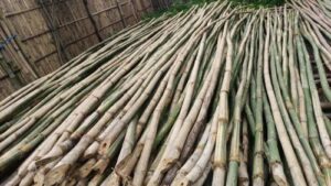 product jpeg 500x500 2 Bamboo India