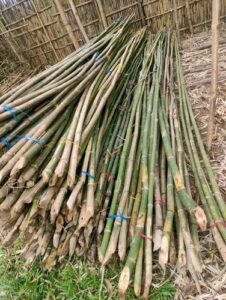 product jpeg 500x500 3 Bamboo India