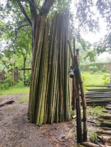 product jpeg 500x500 4 Bamboo India