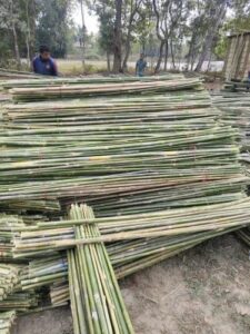 product jpeg 500x500 5 Bamboo India