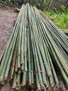 product jpeg 500x500 7 Bamboo India