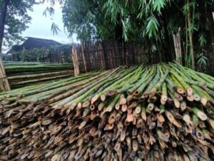 product jpeg 500x500 8 Bamboo India