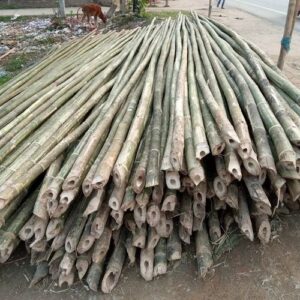 round 30 feet murli bamboo pole 500x500 1 Bamboo India