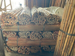 unnamed 1 Bamboo India