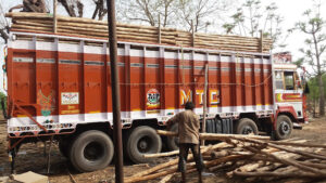 unnamed 3 1 Bamboo India