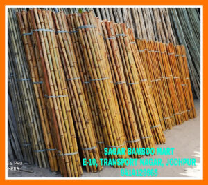 unnamed 3 Bamboo India