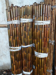 unnamed 5 Bamboo India