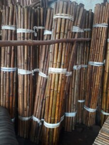 unnamed 6 Bamboo India