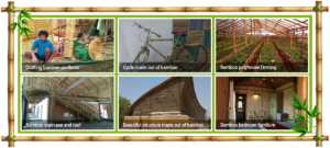 updatedbanner1 Bamboo India
