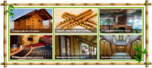 updatedbanner2 Bamboo India