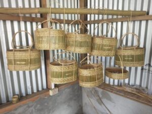 whatsapp image 2023 05 24 at 155324 Bamboo India