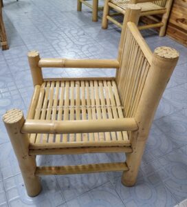 whatsapp image 2023 05 24 at 160750 Bamboo India