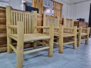 whatsapp image 2023 05 24 at 160751 Bamboo India