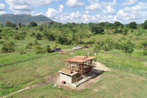 ocean impact Bamboo India