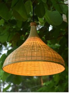 STOROOT12 Bamboo India