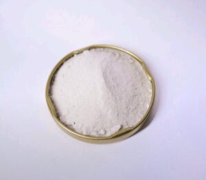 IMG 20250701 WA0004 Bamboo India