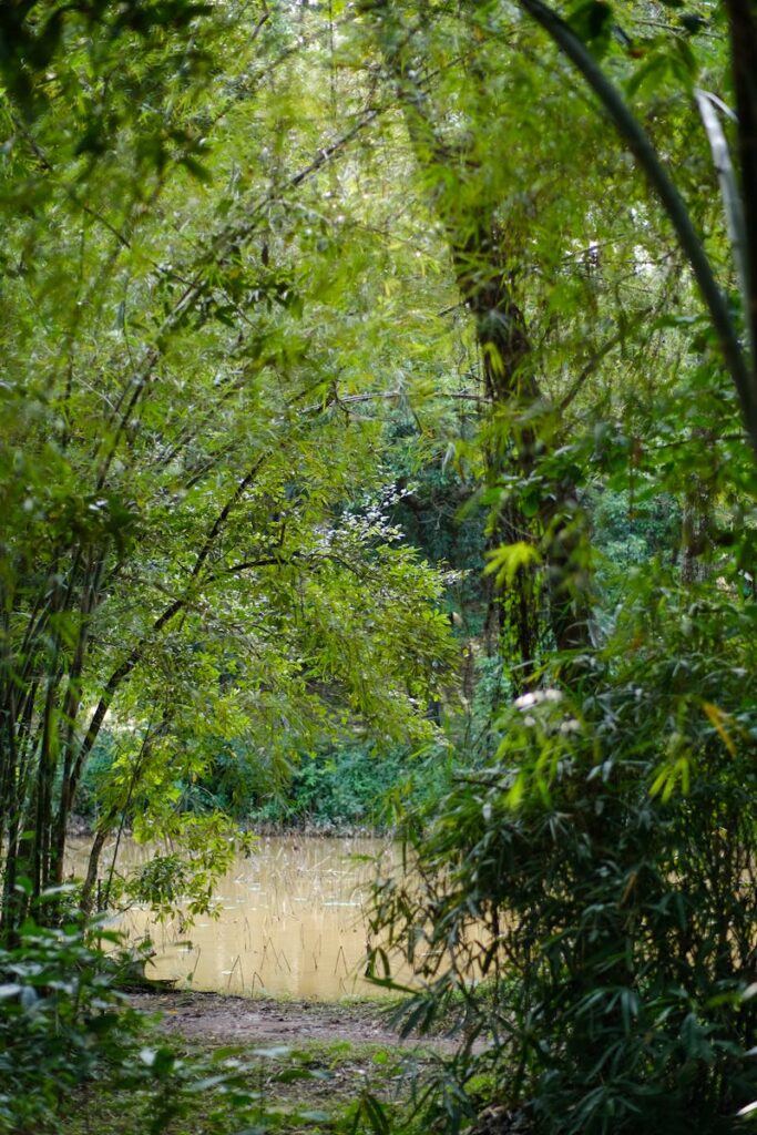 Feeling the profound Buddhist city spirit flowing through ancient streets