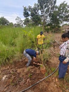 IMG 20251027 WA0055 Bamboo India