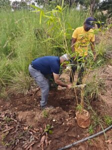 IMG 20251027 WA0056 Bamboo India